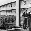 1950 New Letters & Science Building