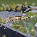 Malibu Campus Renderings