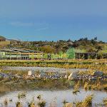 View from Legacy Park, Malibu Campus