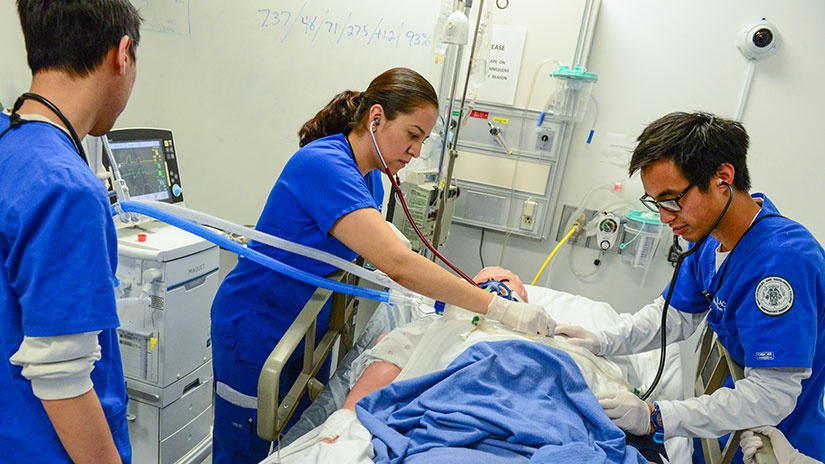 Bachelor Of Science In Respiratory Therapy | Liberty University