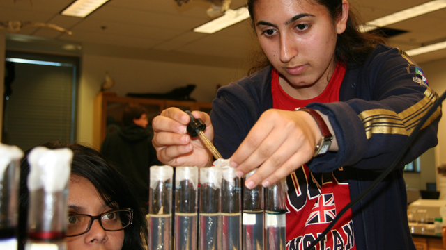 Students running tests on samples