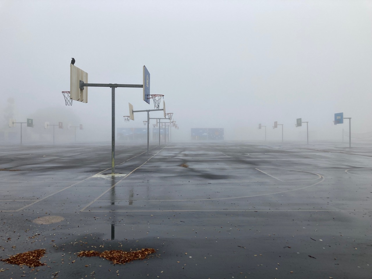 Photograph by Cindy Sanchez Mattson of misty empty outdoor basketball courts
