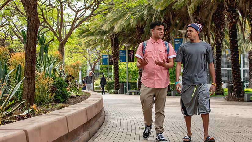 Students walking