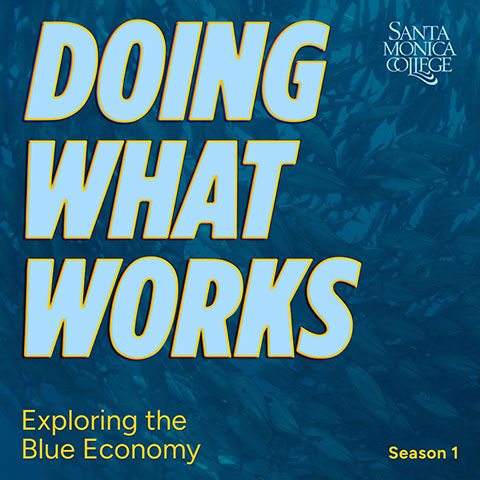 Doing What Works Podcast graphic