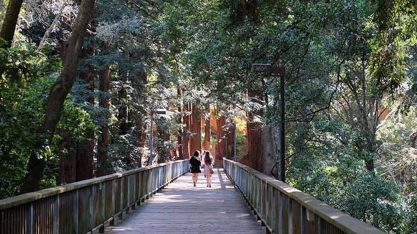 UC Santa Cruz: Student Panel