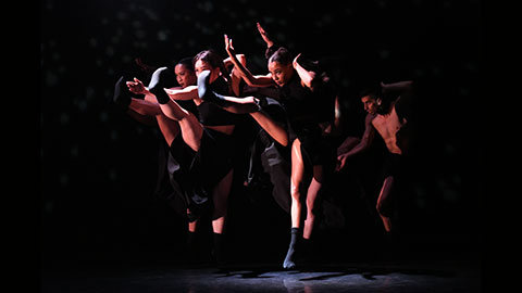 Synapse Contemporary Dance Theater