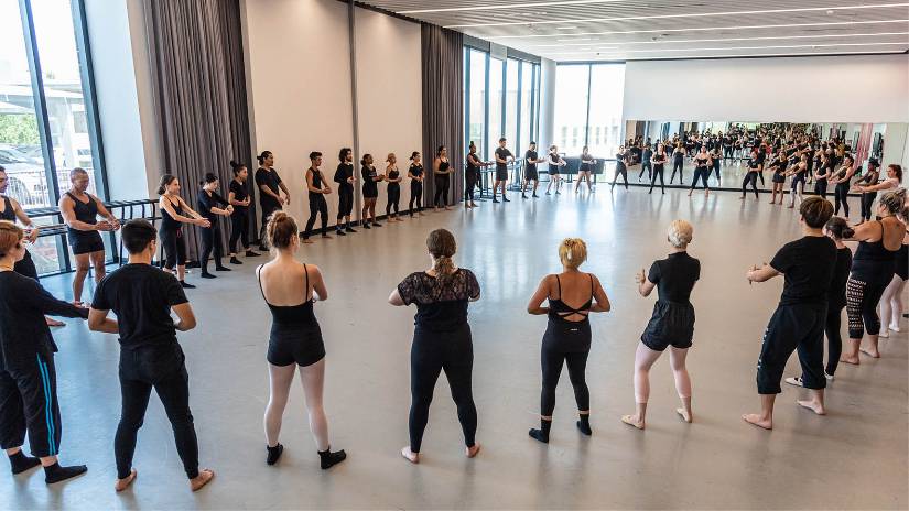 Spring Dance Transfer Panel