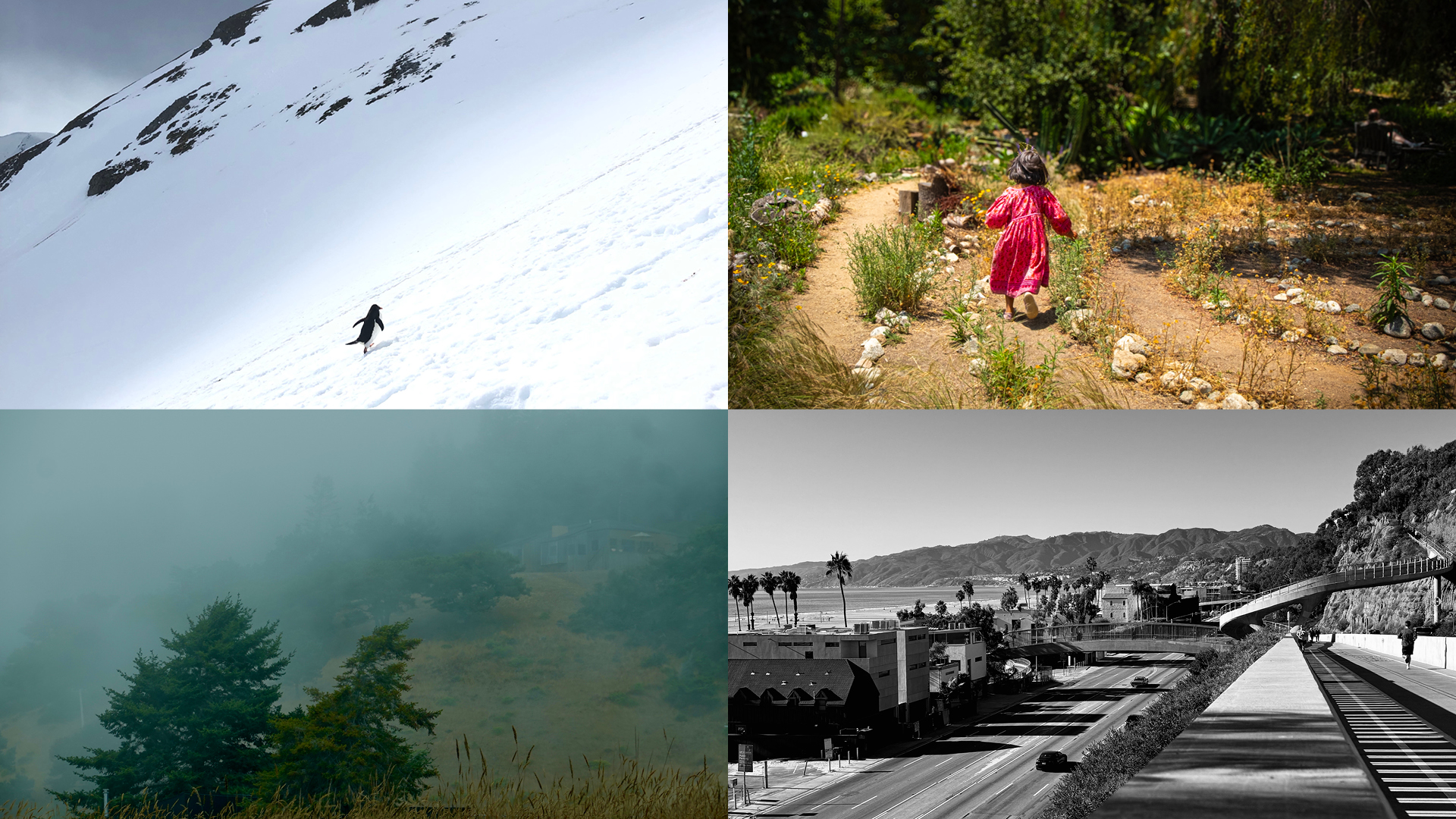 Photography Department Santa Monica College