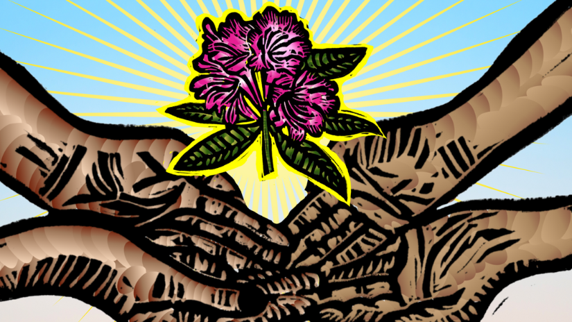 Identity, Culture and the Power Within