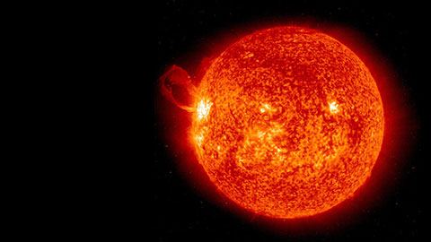 Solar System Survey: The Sun