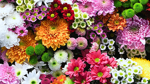 A.S. Flower Market