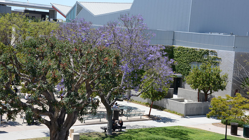 campus image