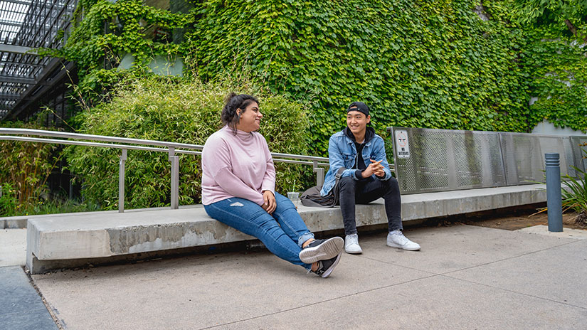 Students by Library