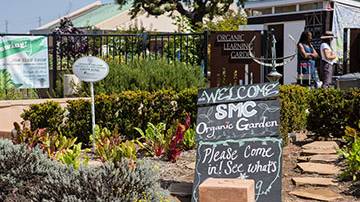 The Organic Learning Garden at Santa Monica College