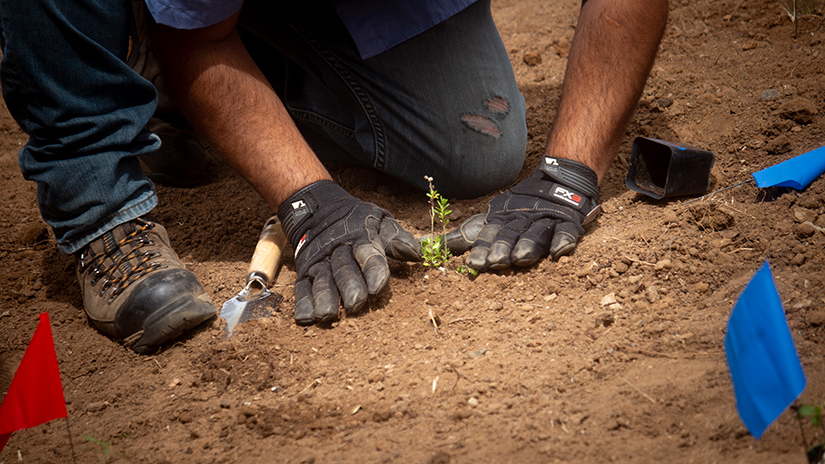 Packing the earth