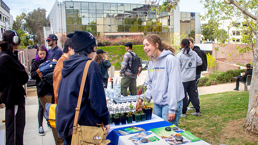 Plant stations