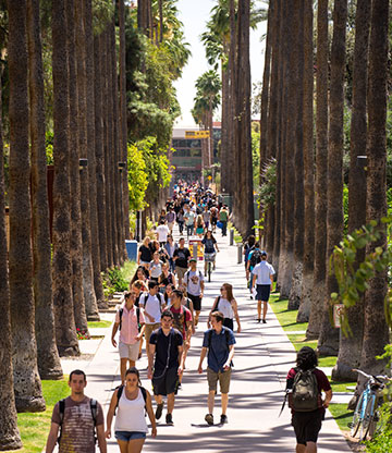 Students walk along Palm Walk