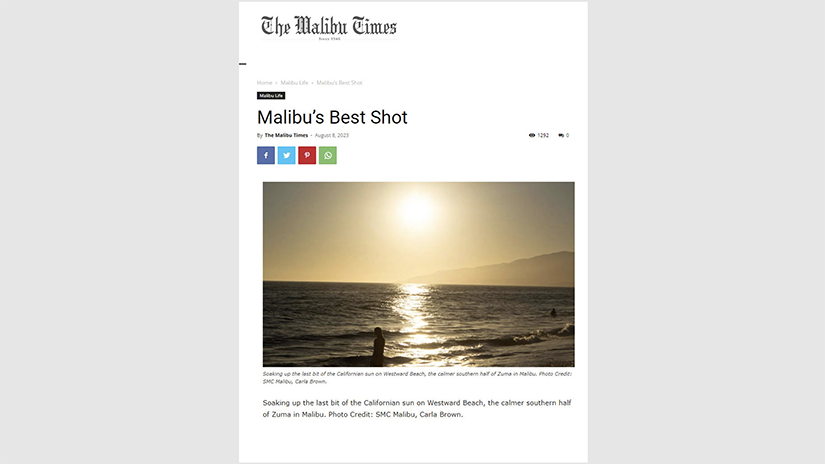 Brown Malibu Times