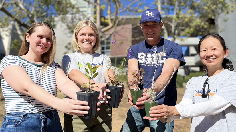 Planting SMC's Microforest