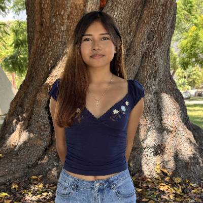 Jasmin Peer Navigator