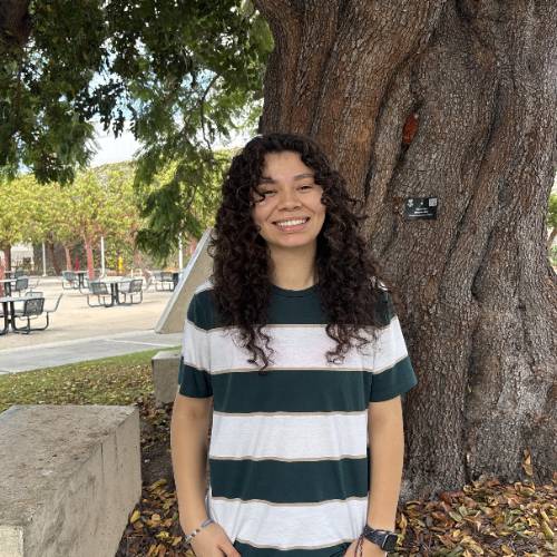 Marlen Peer Navigator