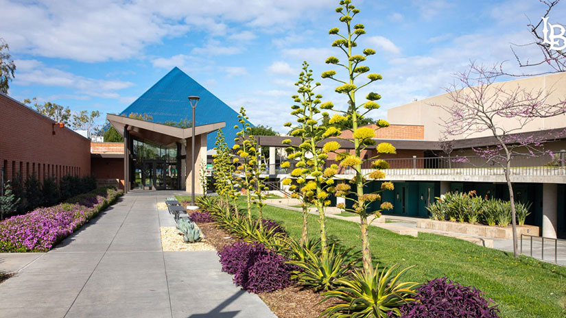 CSU Long Beach