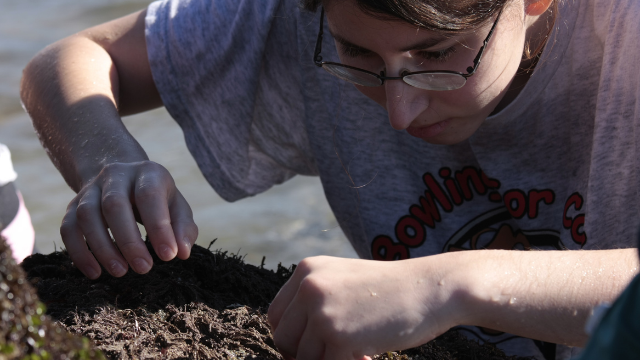 Student looking at material found on the beach