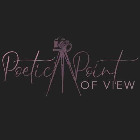 Poetic Point of View Logo