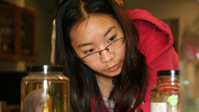 Student in Class by Jim S.