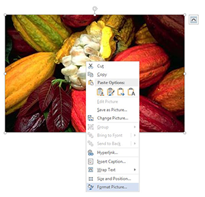 Format Picture