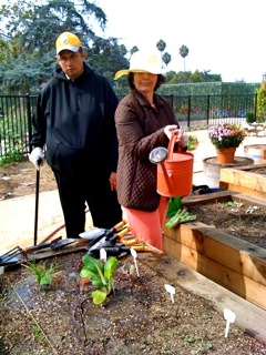 Students in the Organic Garden