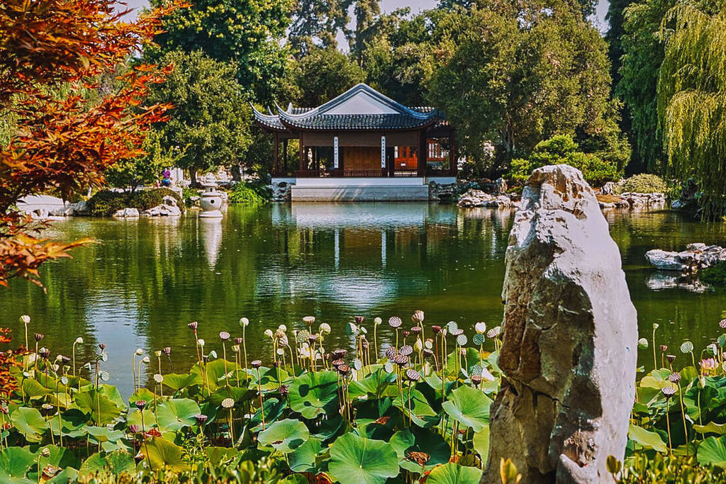 Pond in a garden