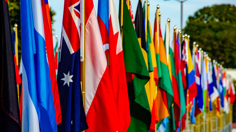 Graduation Flags