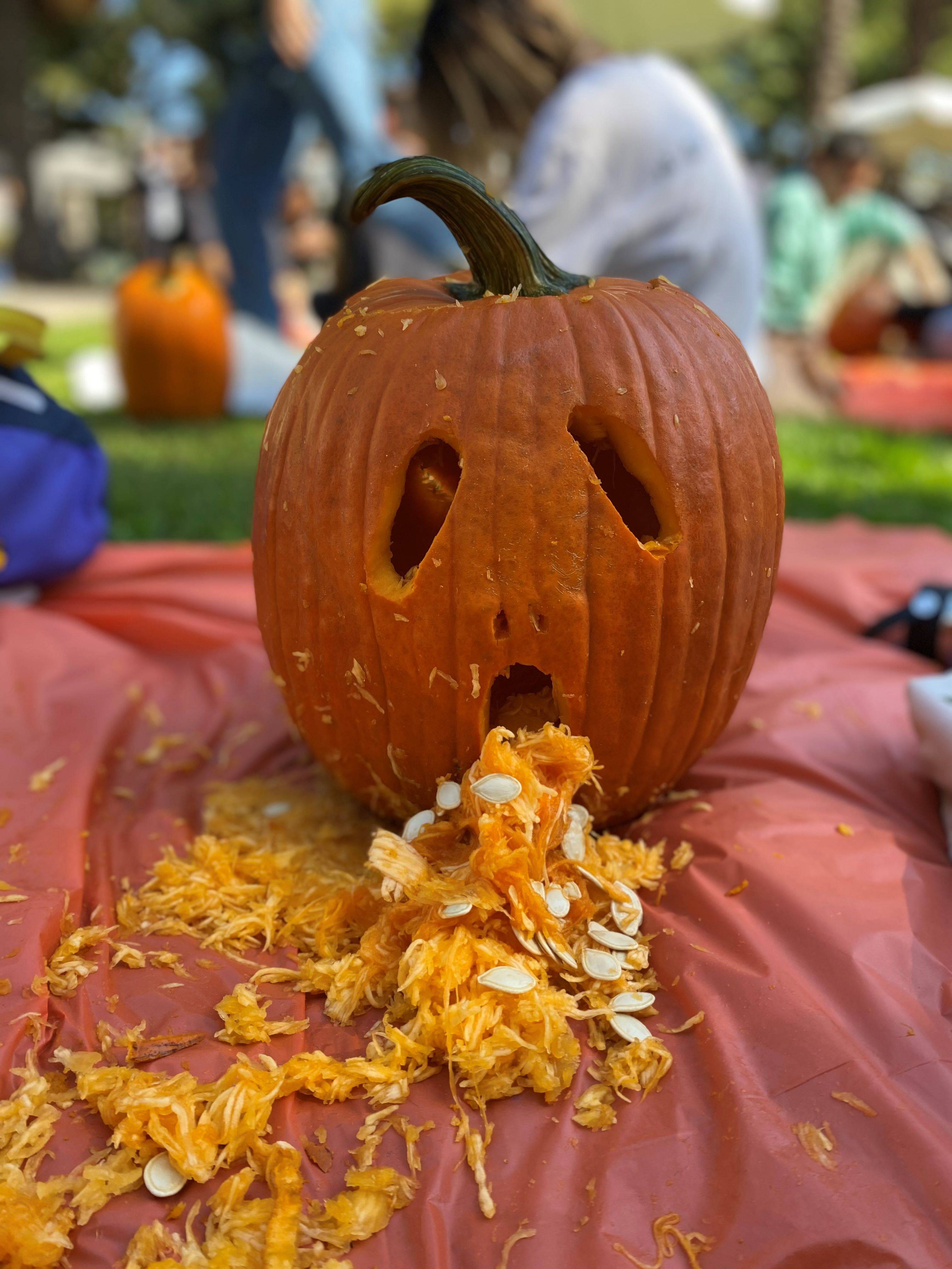 pumpkin
