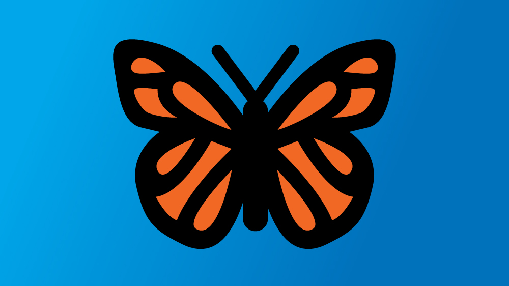 Image of Butterfly