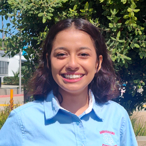 Student Ambassador